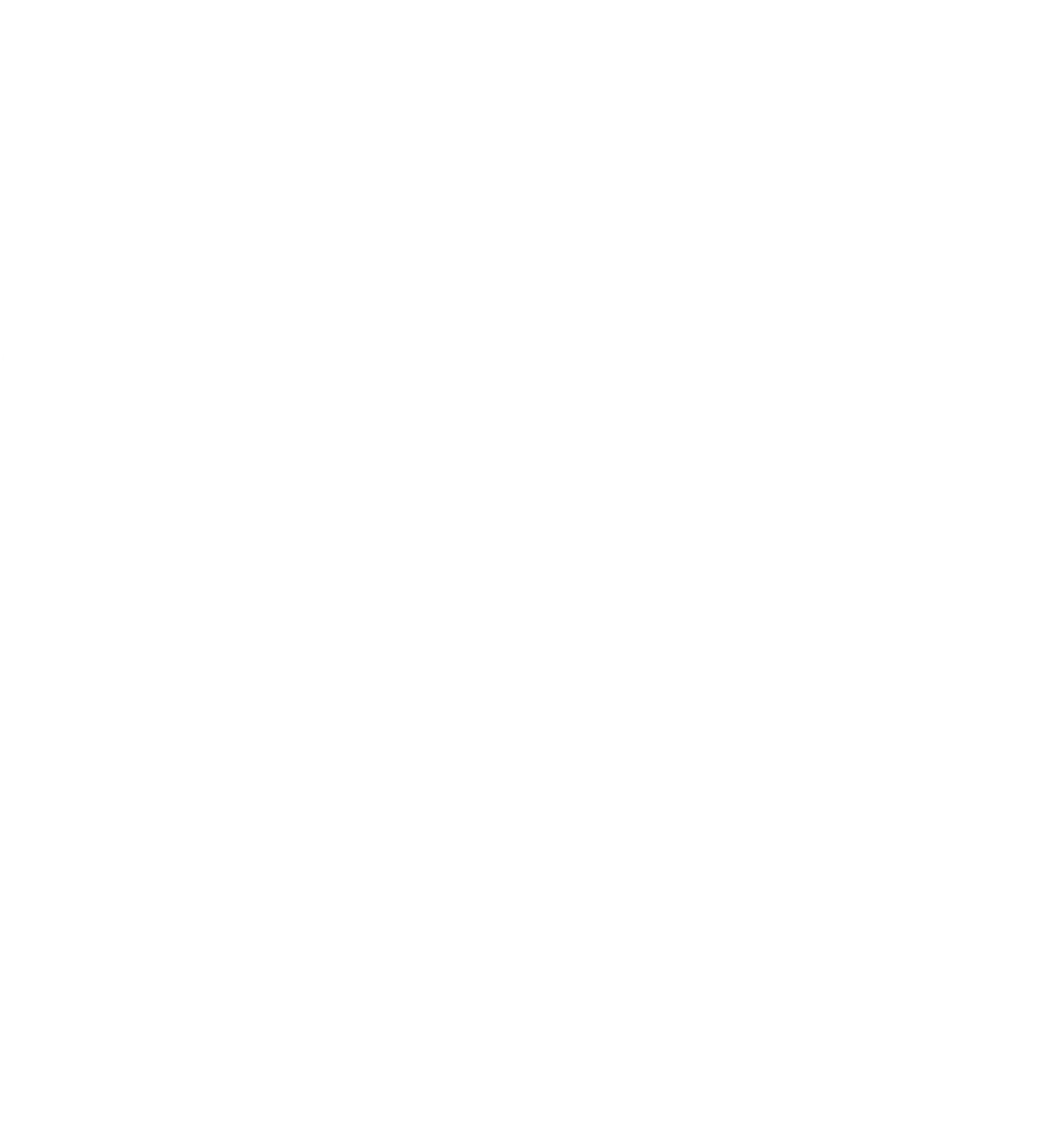 Raven One Enterprises LLC Logo